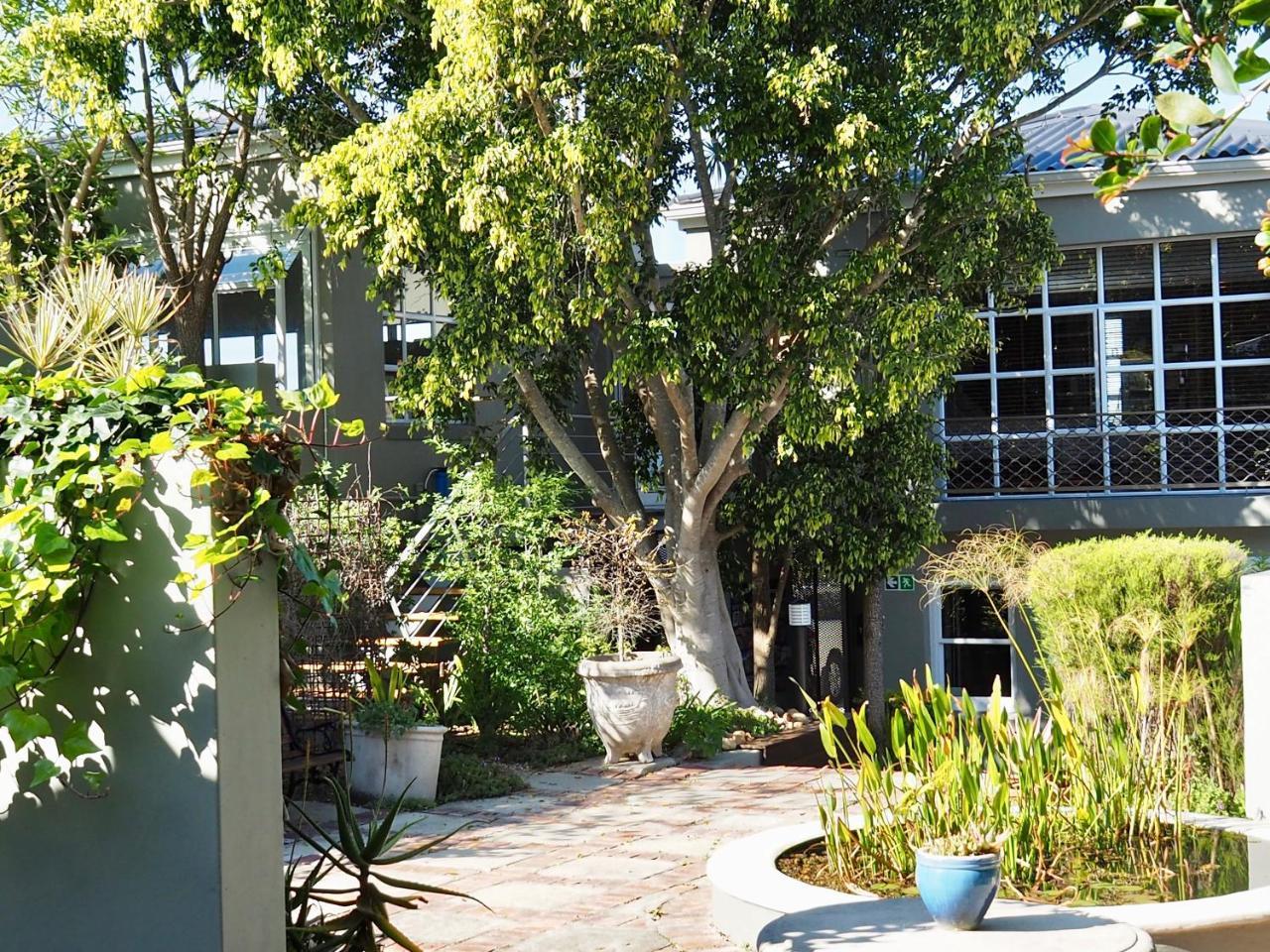 Hillview Boutique Apartments Knysna Exteriör bild